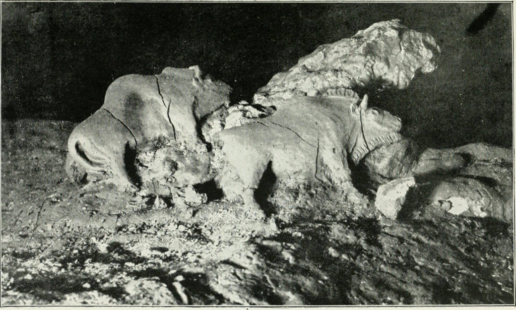 audoubert cave bison