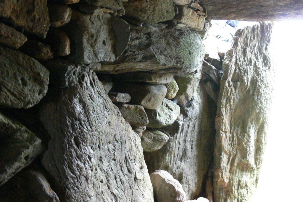 bryn celli ddu