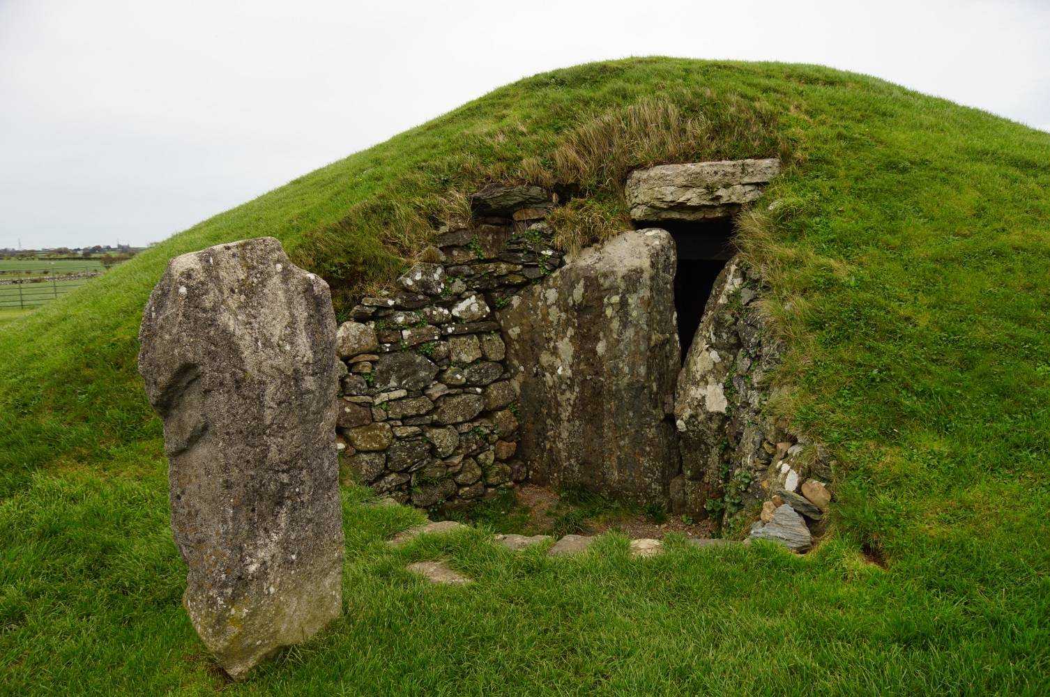 bryn celli ddu