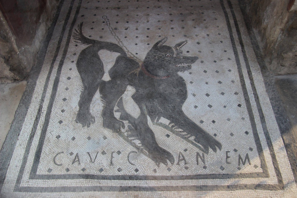cave canem dog mosaic