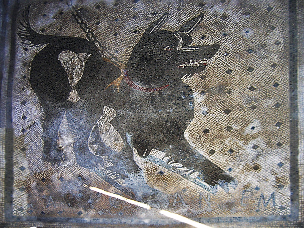 cave canem dog mosaic