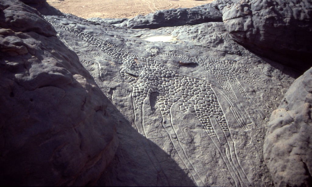 the dabous giraffes petroglyphs