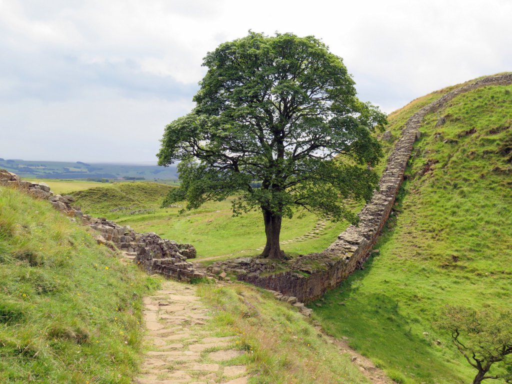 hadrian's wall