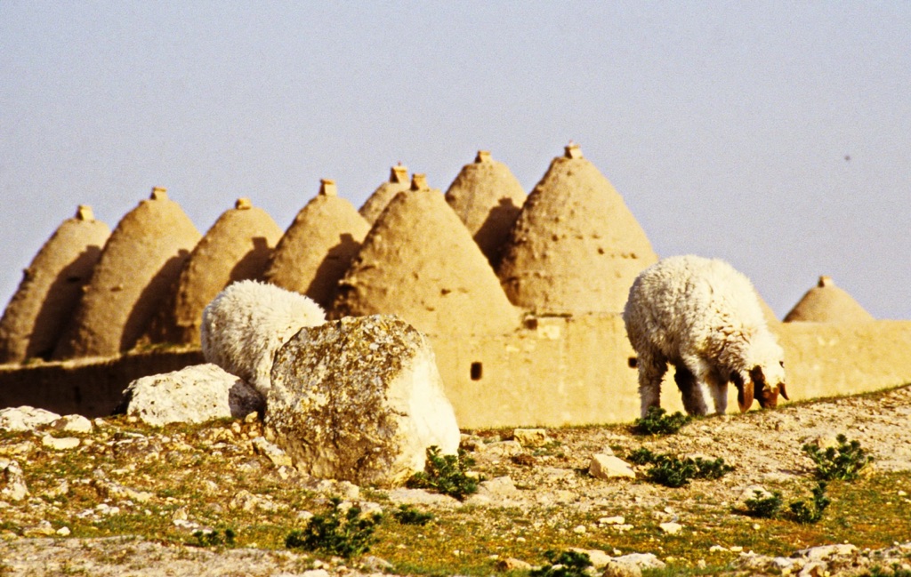 harran beehive houses