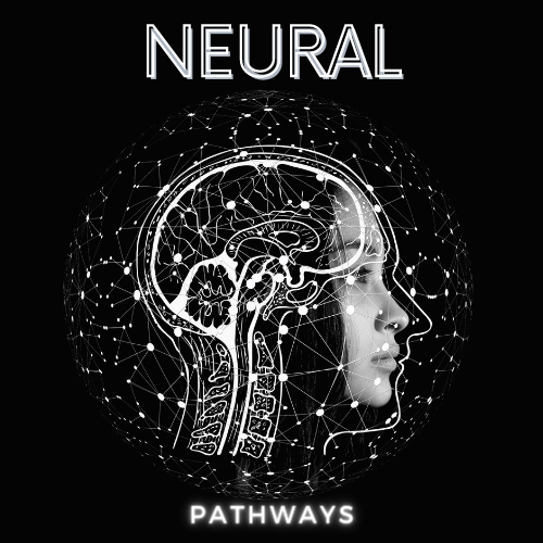neural pathways