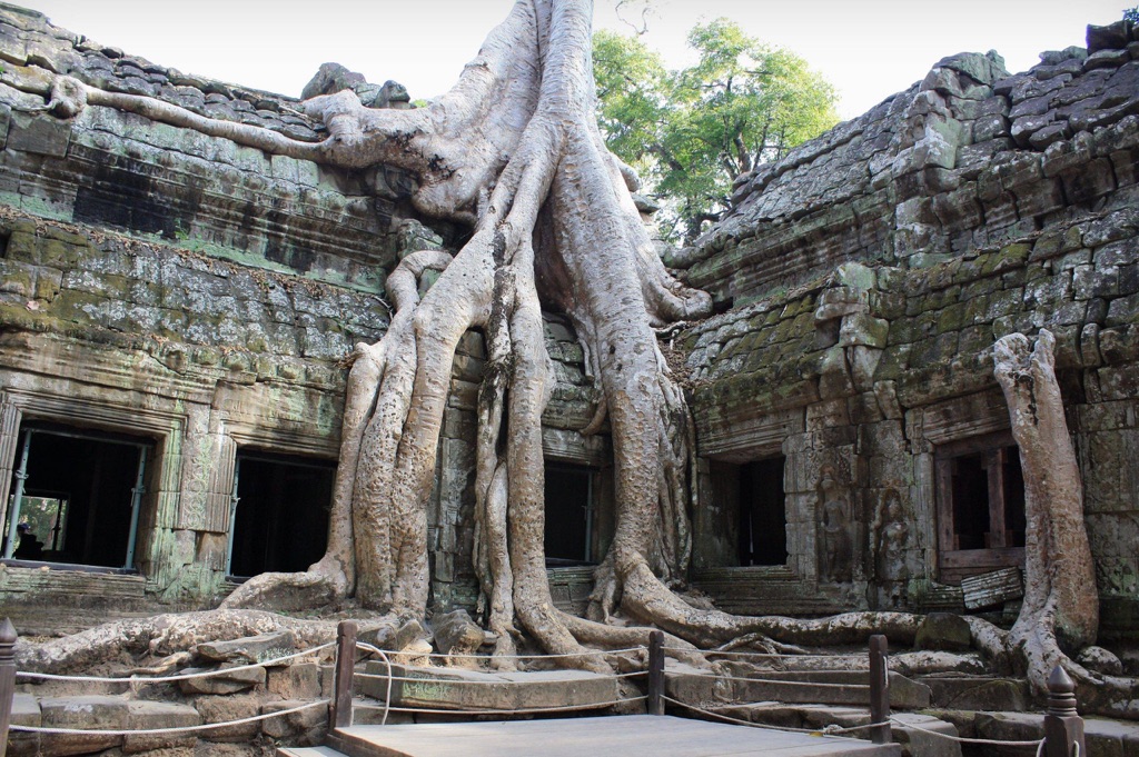 ta prohm temple