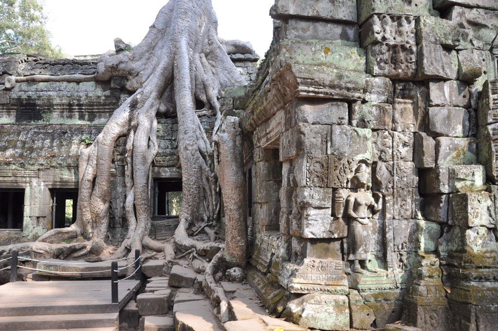 ta prohm temple