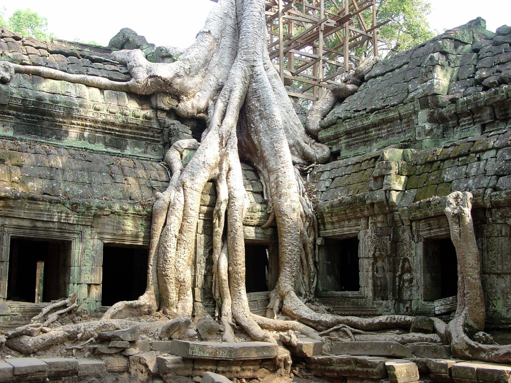 ta prohm temple