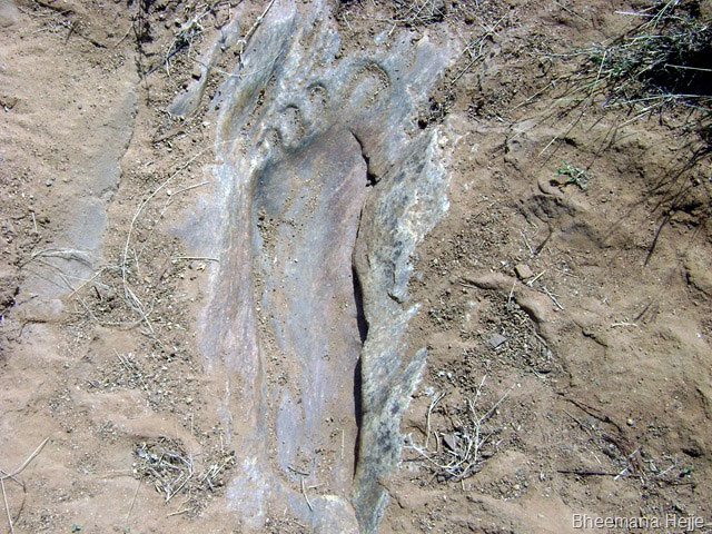 giant footprints discovered in stone