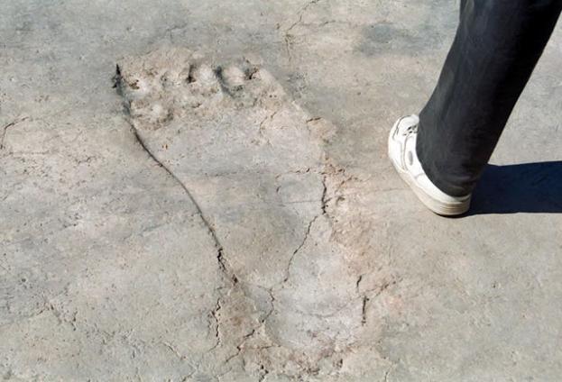 giant footprints discovered in stone