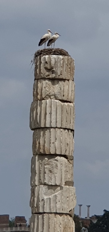 temple of artemis at ephesus
