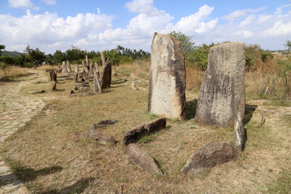 tiya archaeological site