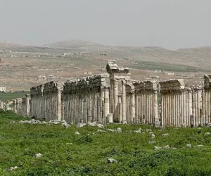 Apamea