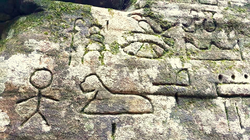 gosford hieroglyphs