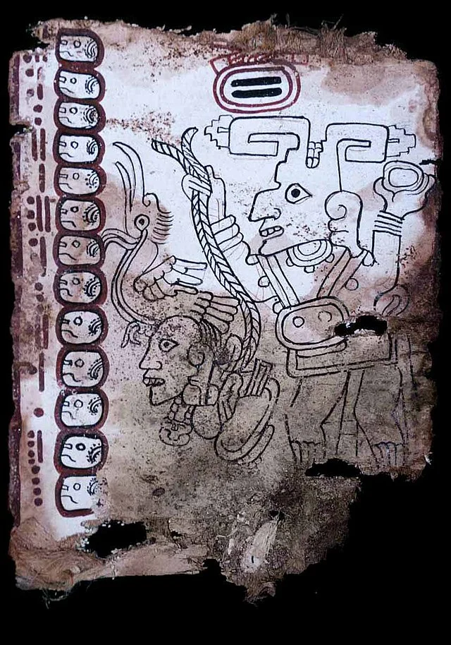 Structure and Materials of Maya Codex of Mexico