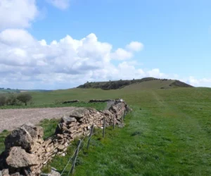 Abbotsbury Castle 4