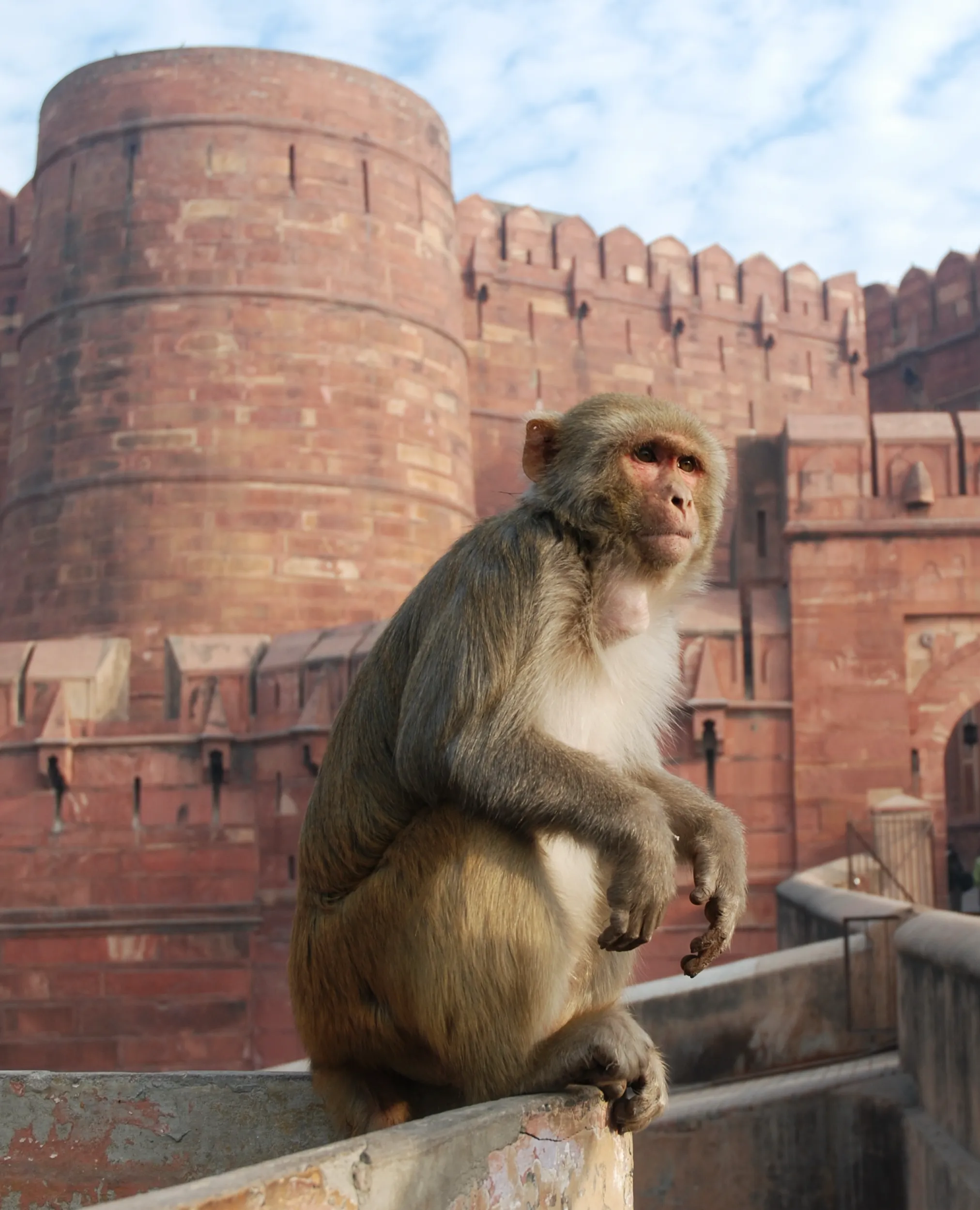 Agra Fort 