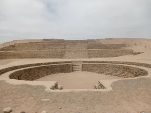 Bandurria Peru