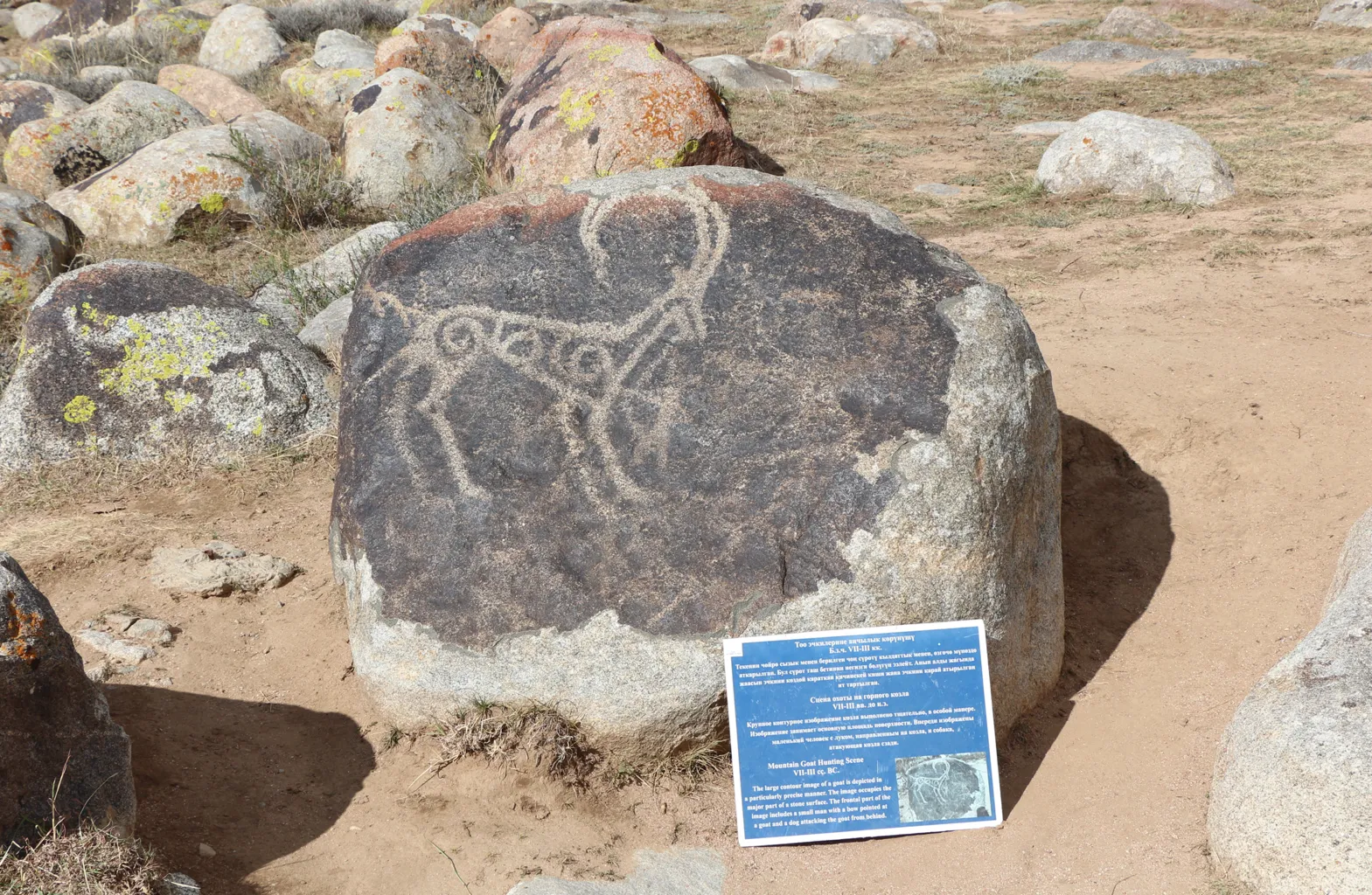 Cholpon Ata Petroglyphs 7