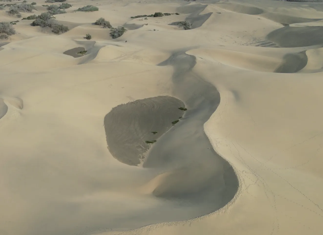 Dunas de Maspalomas 1