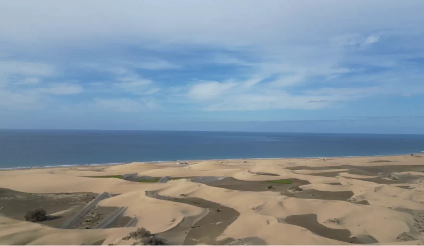 Dunas de Maspalomas 4