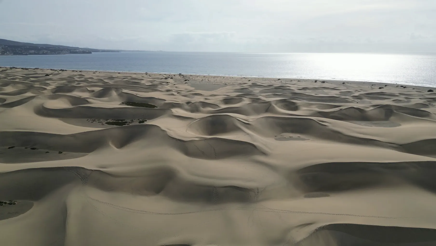 Dunas de Maspalomas 7