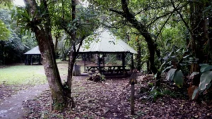 Monumento Nacional Guayabo
