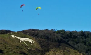 Litlington White Horse 2