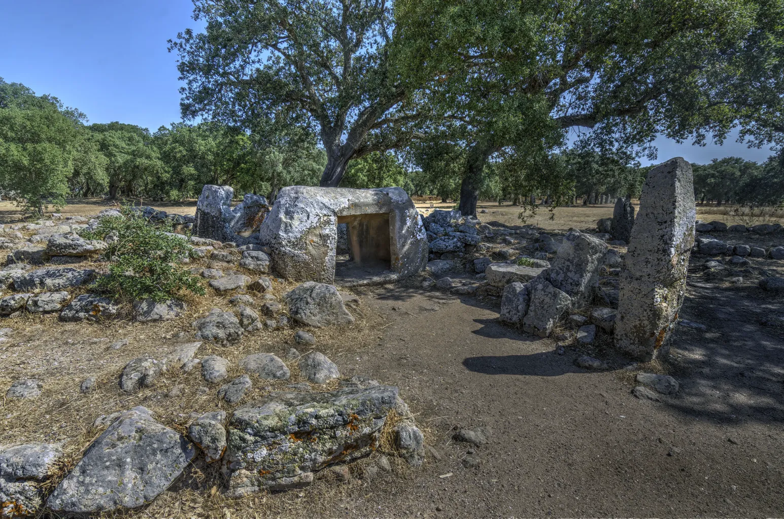 Necropolis of Pranu Muttedu 8