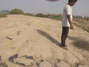 Rakhigarhi