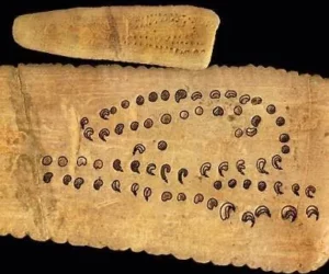 34,000 year old Aurignacian lunar calendar