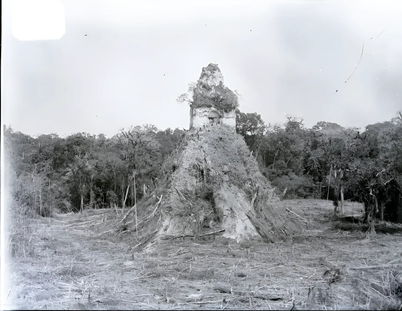 Alfred Percival Maudslay Tikal 1890 1891 10