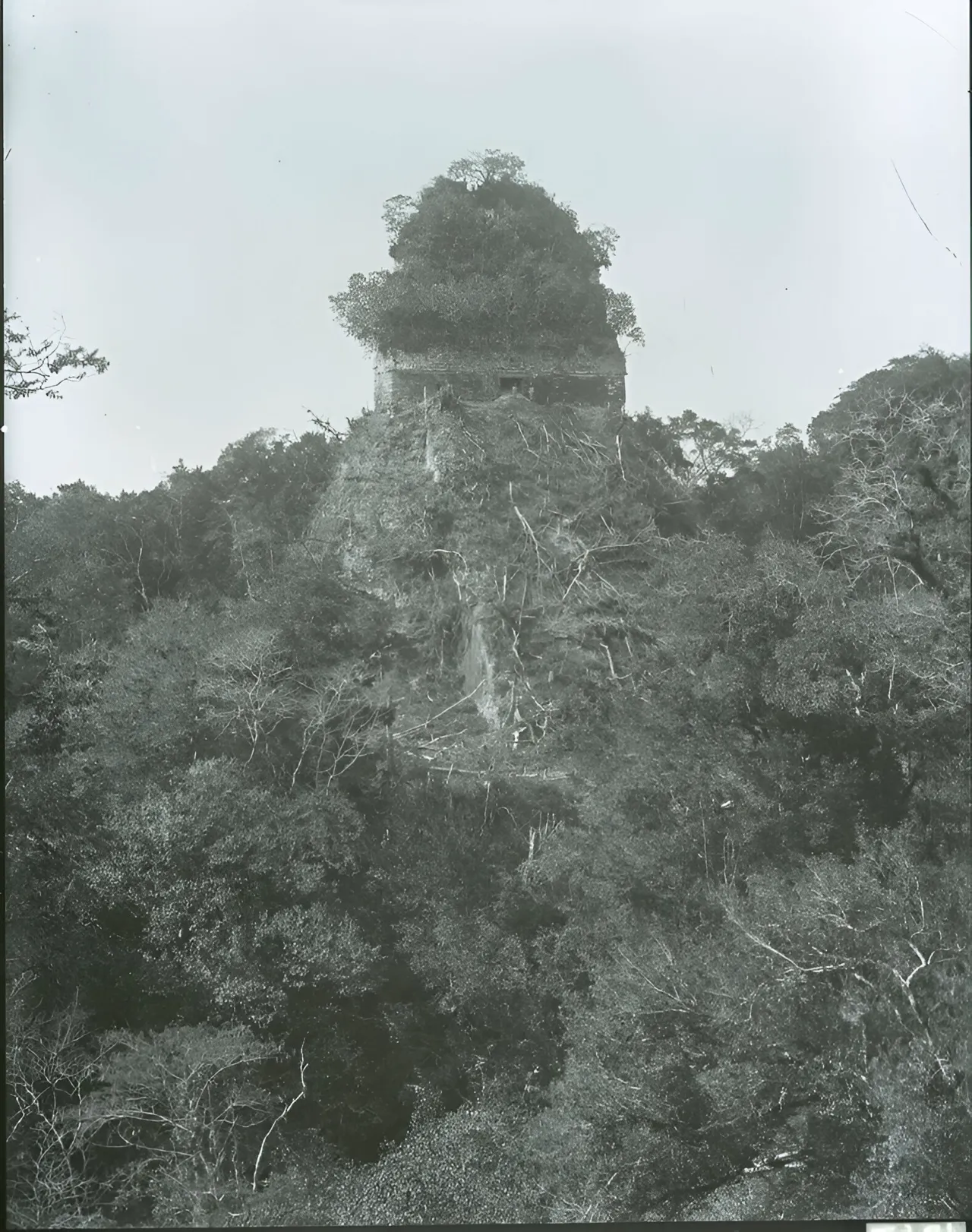 Alfred Percival Maudslay Tikal 1890 1891 12