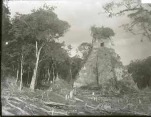 The Expedition to Tikal (1890-1891) by Alfred Percival Maudslay