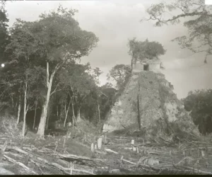 Alfred Percival Maudslay Tikal 1890 1891 2