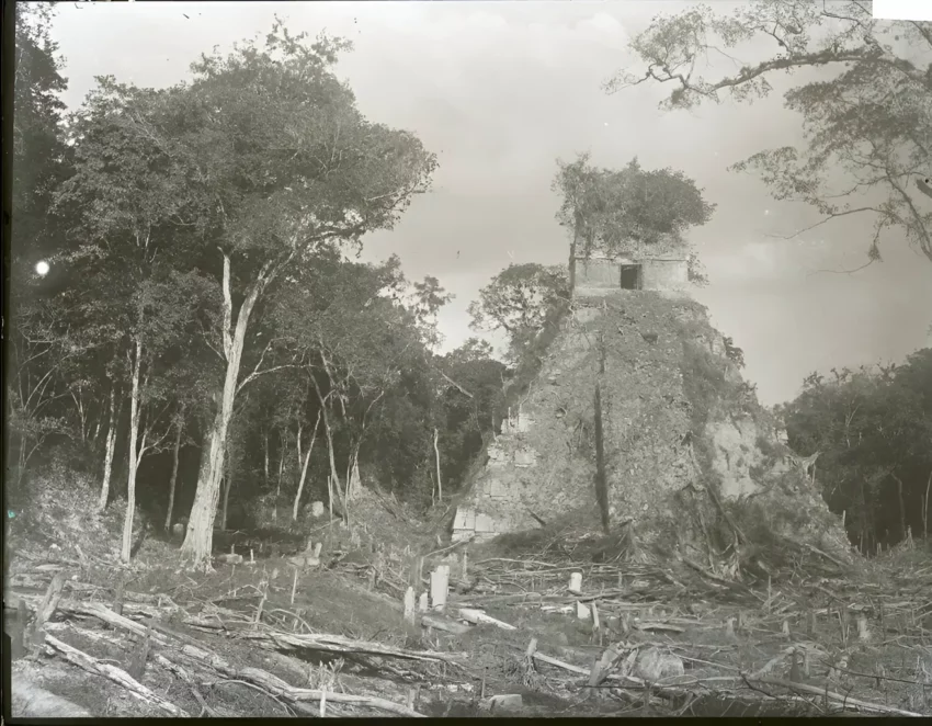 Alfred Percival Maudslay Tikal 1890 1891 2