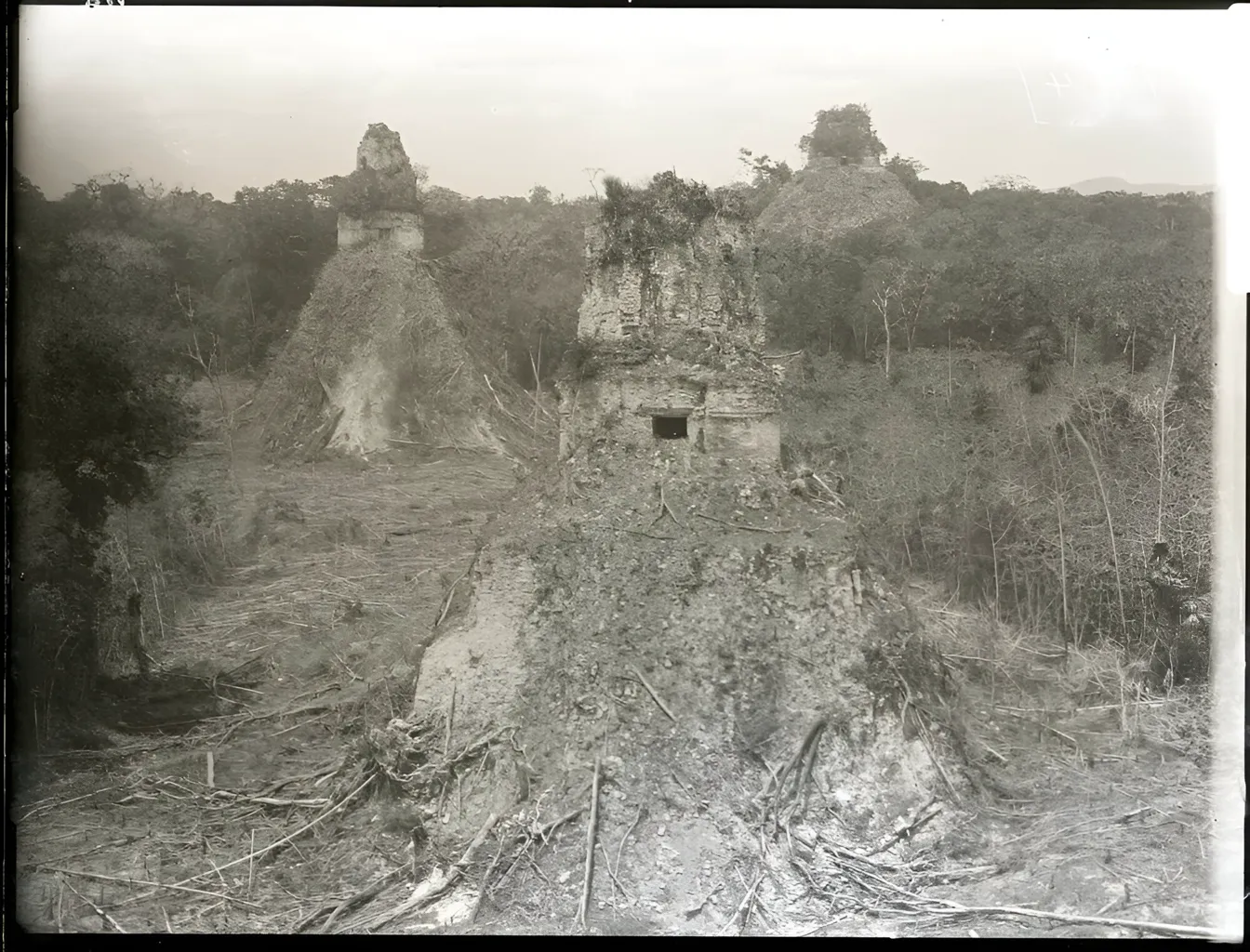 Alfred Percival Maudslay Tikal 1890 1891 4