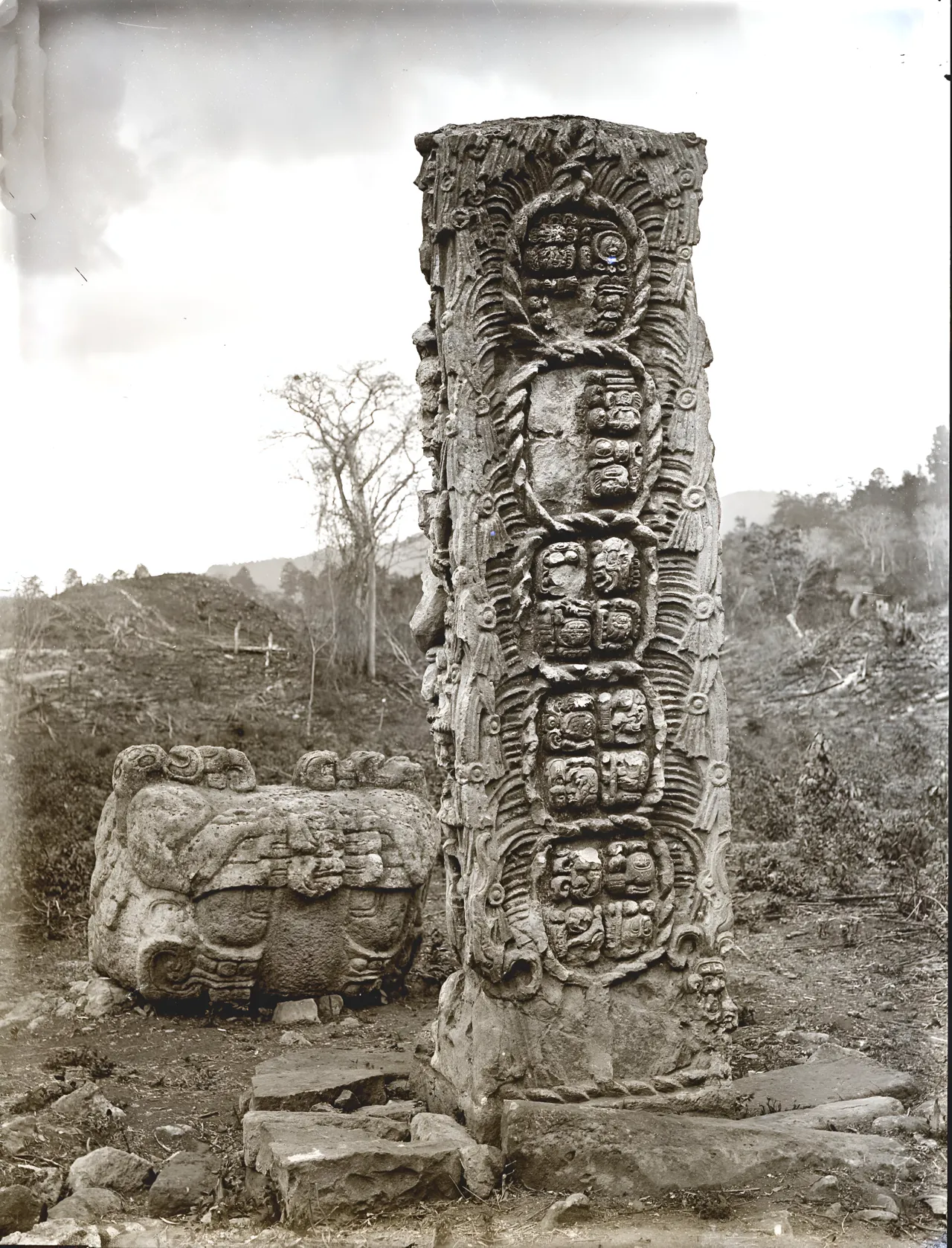 Copan 1890 1891 Alfred Percival Maudslay 25