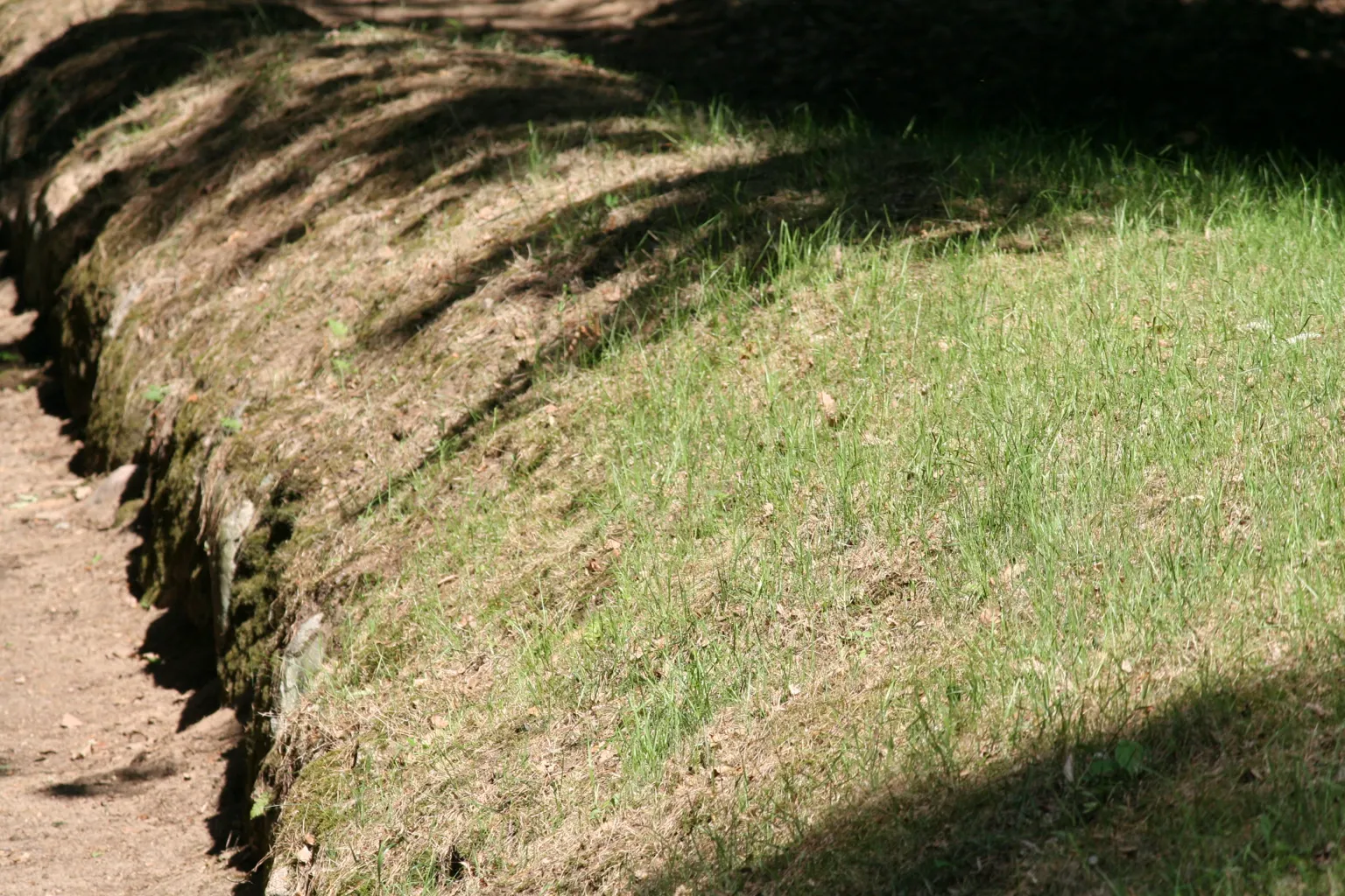 Long Barrows of Wietrzychowice 2