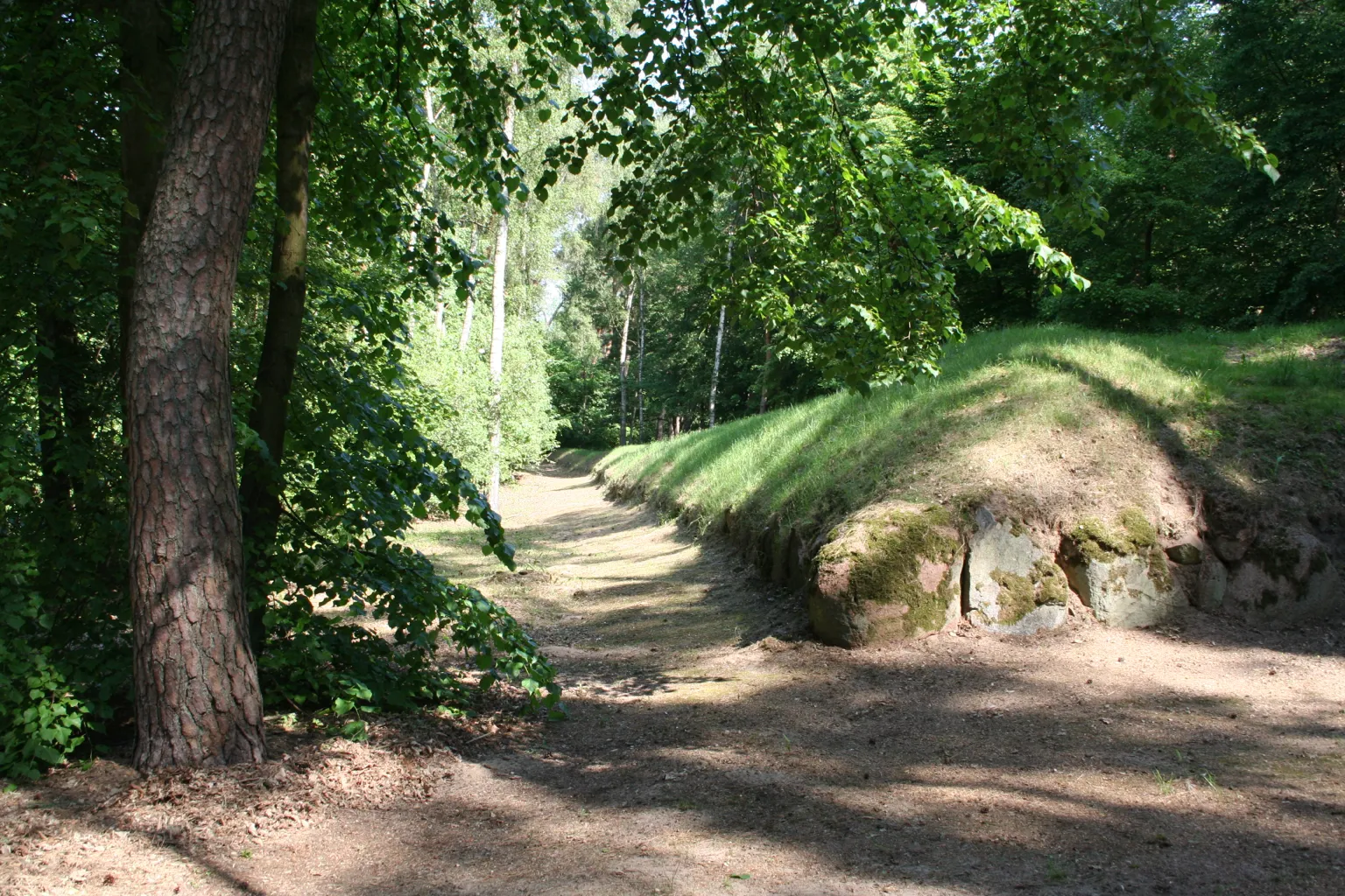 Long Barrows of Wietrzychowice 3