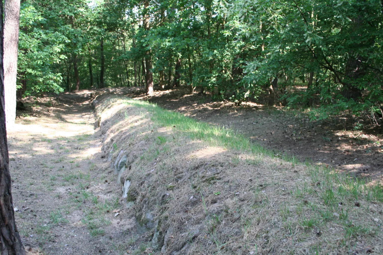 Long Barrows of Wietrzychowice 4