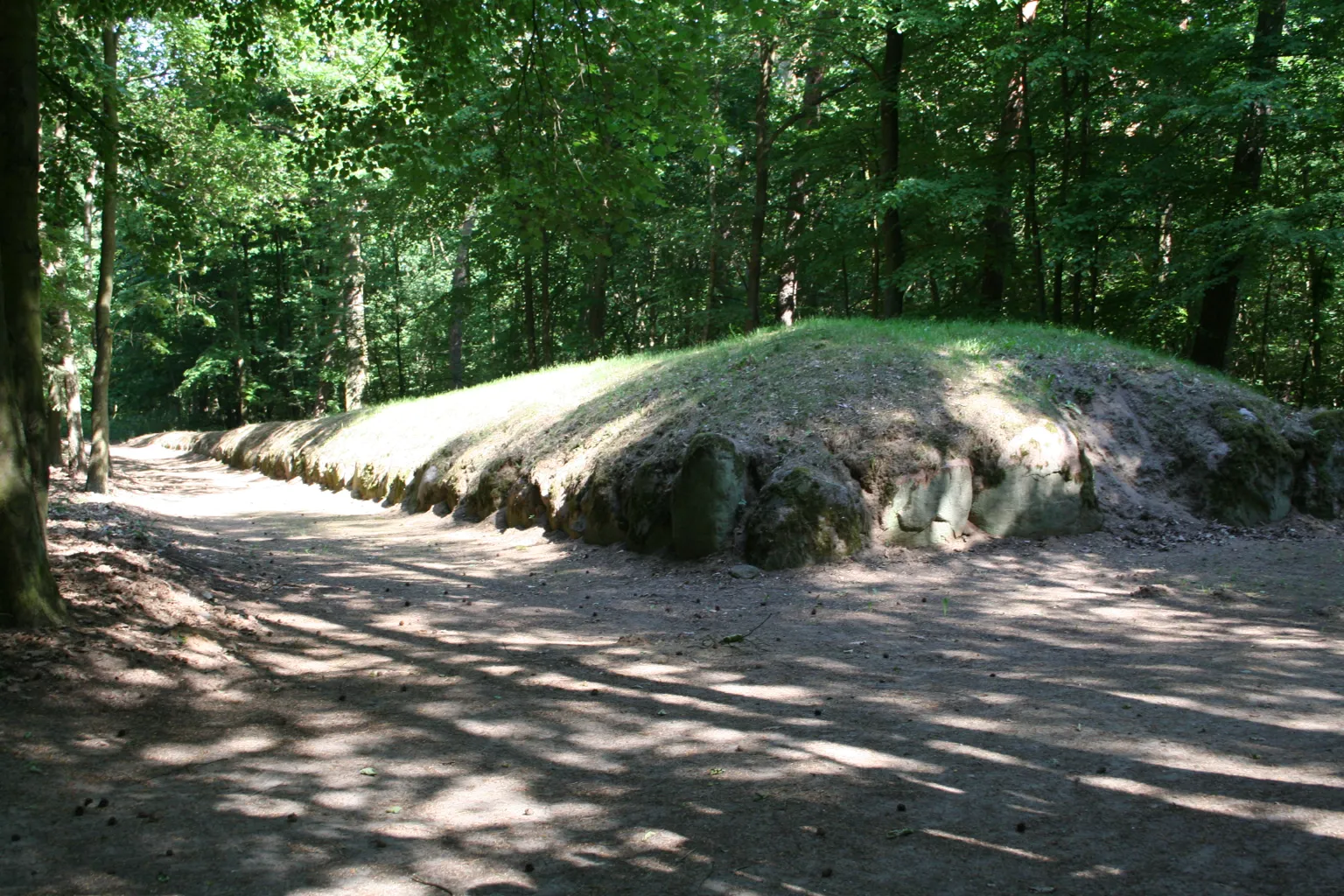 Long Barrows of Wietrzychowice 5