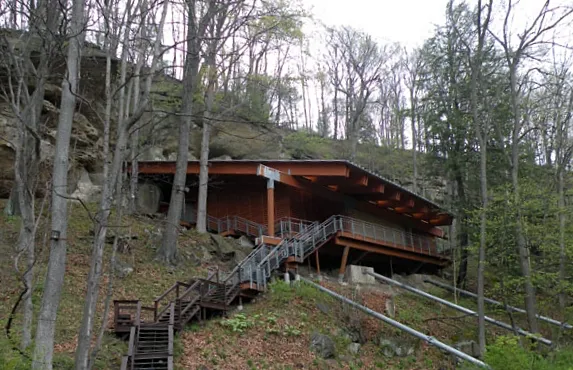 Meadowcroft Rockshelter 1