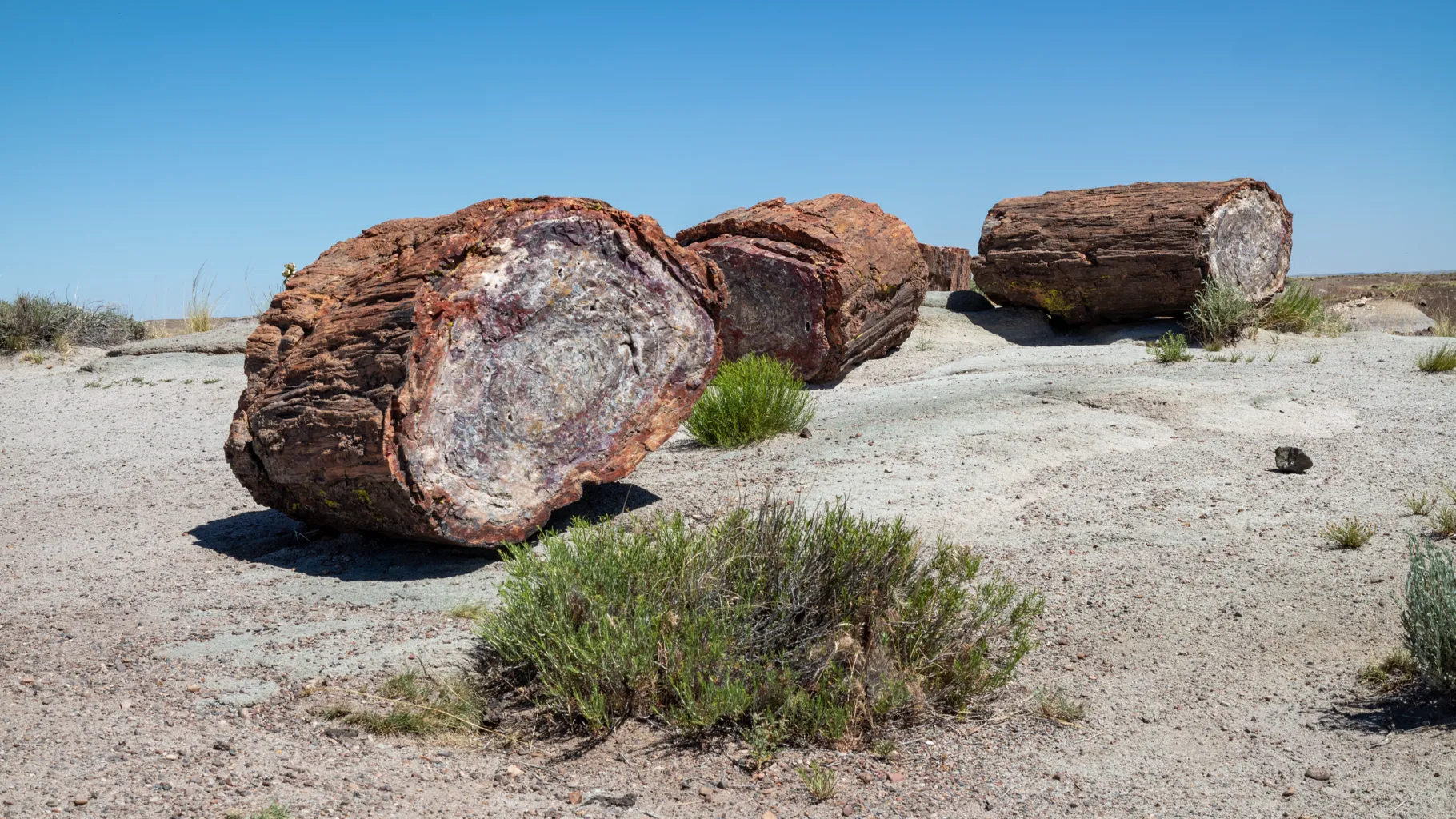 Petrified Forest National Park 5