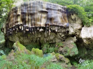 The Petrifying Well