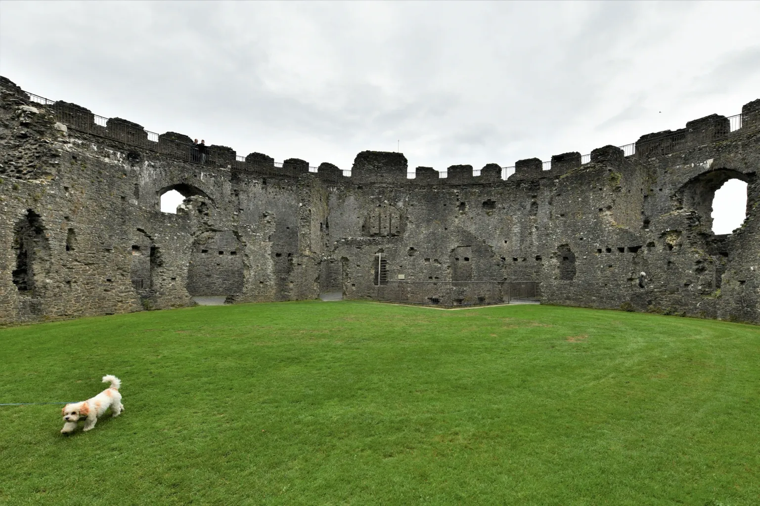 Restormel Castle 3