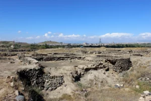 The Shengavit Settlement