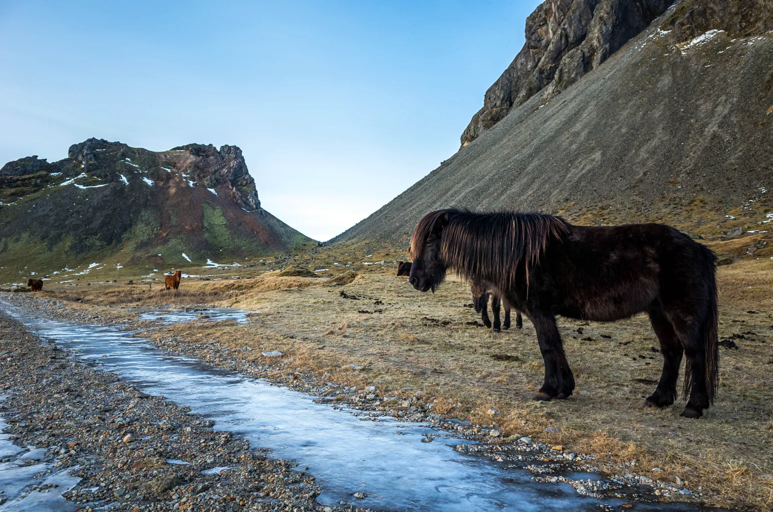 Vesturhorn Abandoned Viking Village 4