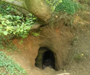 Caynton Caves