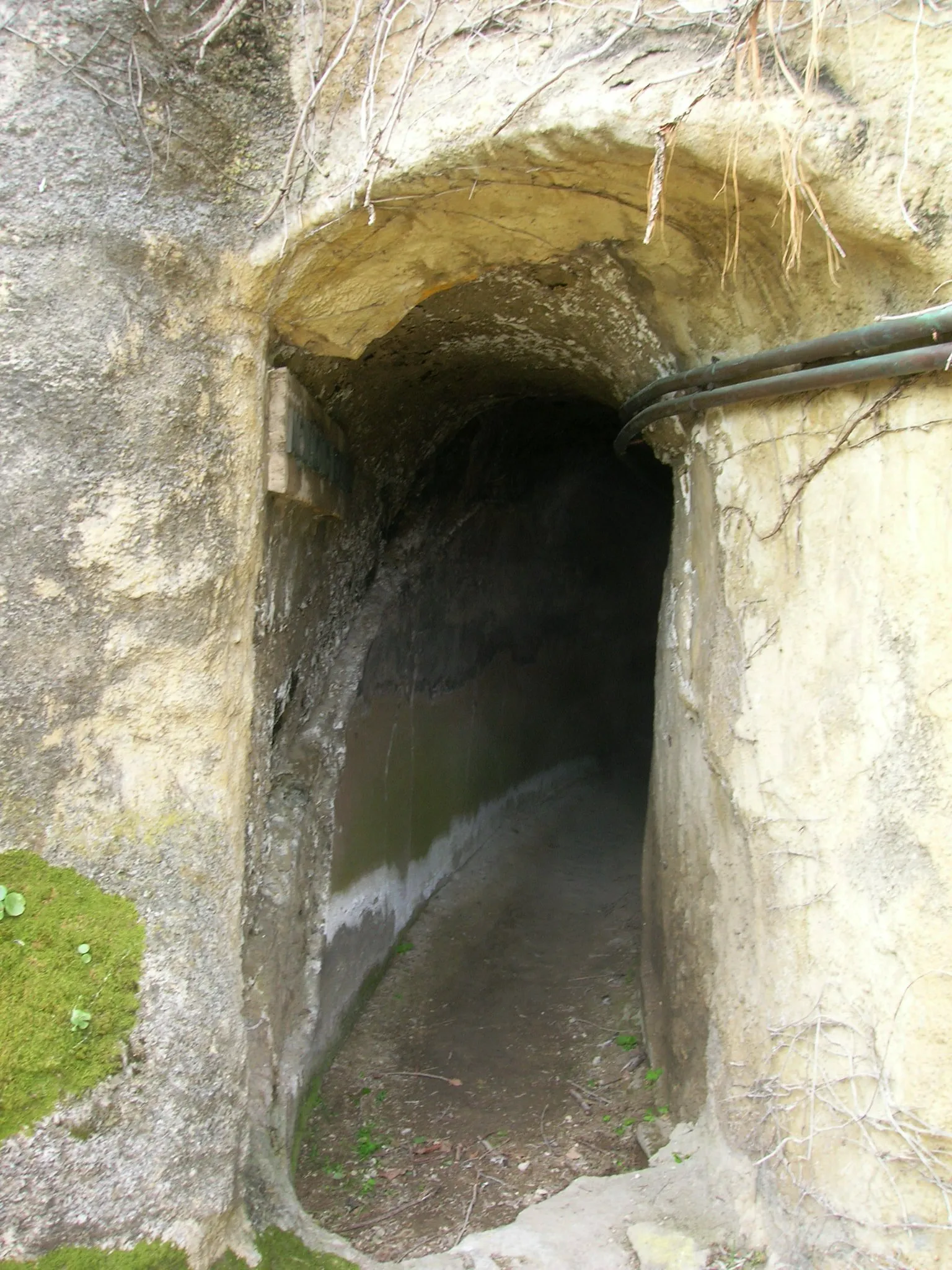 Crypta Neapolitana